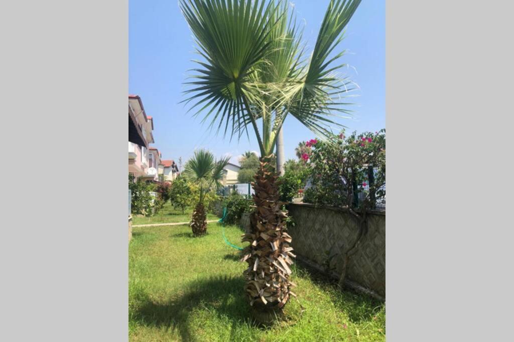 Peaceful House Vila Fethiye Exterior foto